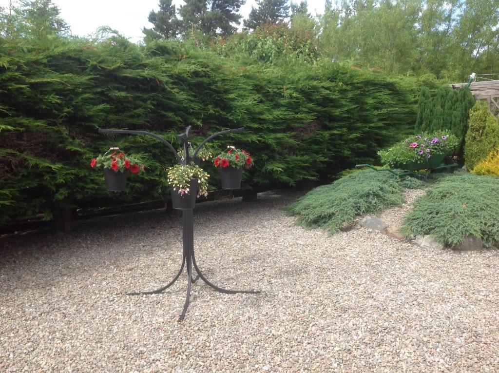 Dunroamin Bed And Breakfast Aviemore Bilik gambar